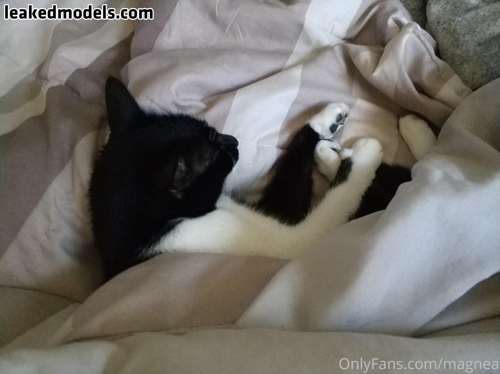 Magnea Nude (14 Photos) – Leakedmodels