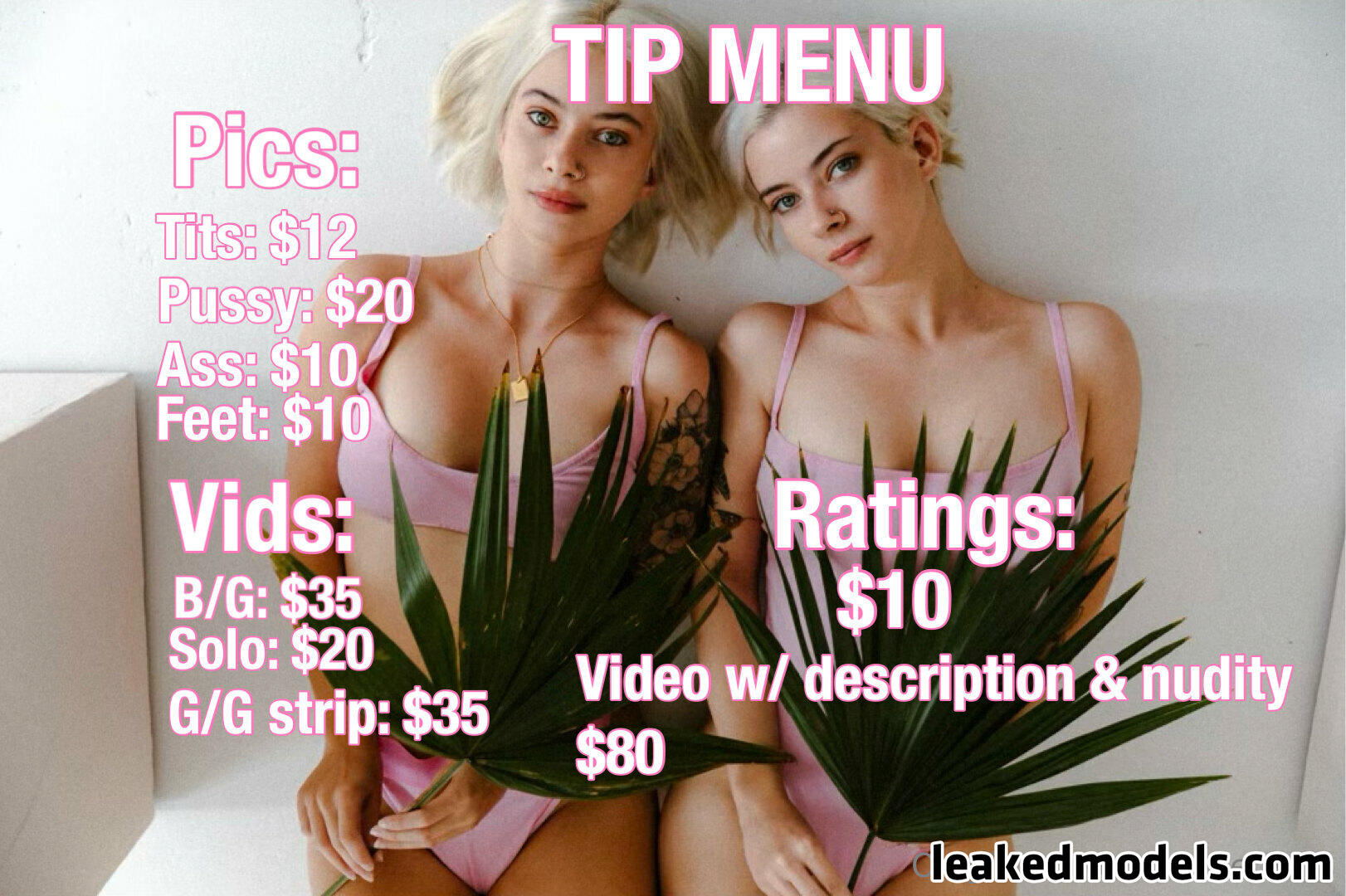 Minnetwins Nude (15 Photos) – Leakedmodels