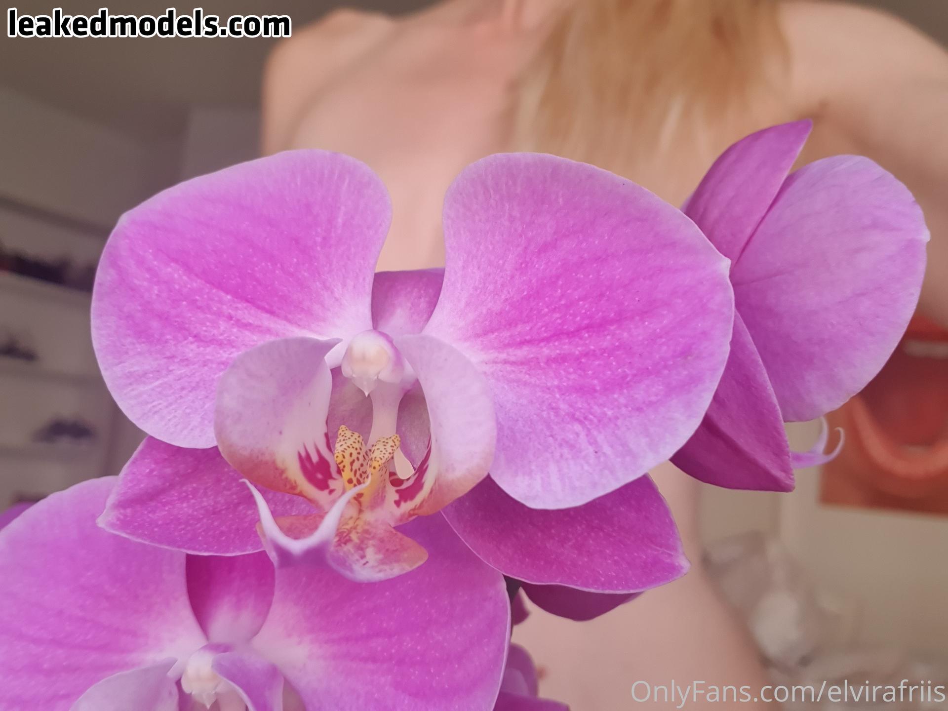 Elvirafriis Nude (13 Photos) – Leakedmodels