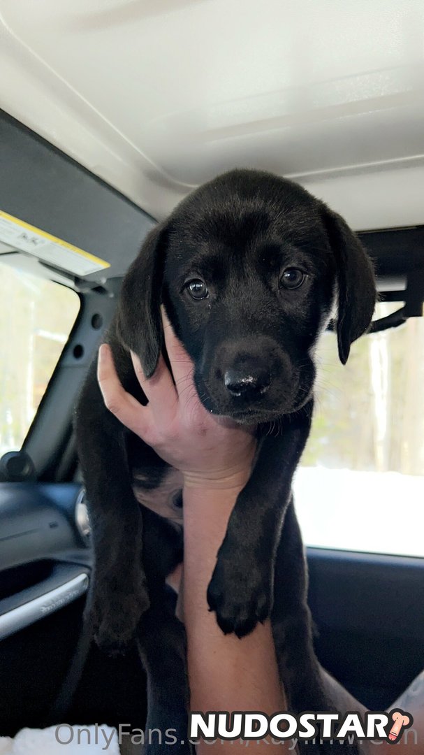 kaylin wrenn – Kaylinwrenn OnlyFans Leaks (50 Photos) – NudoStar