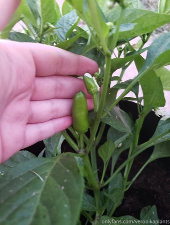 Plantropia / Veronikaplants Nude Leaks Onlyfans  – Leaked Models