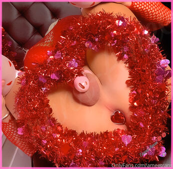 ameetrans Nude Leaks OnlyFans Photo 33