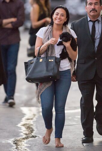 Demi Lovato Nude Leaks OnlyFans Photo 135