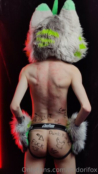 midorifox Nude Leaks OnlyFans Photo 7