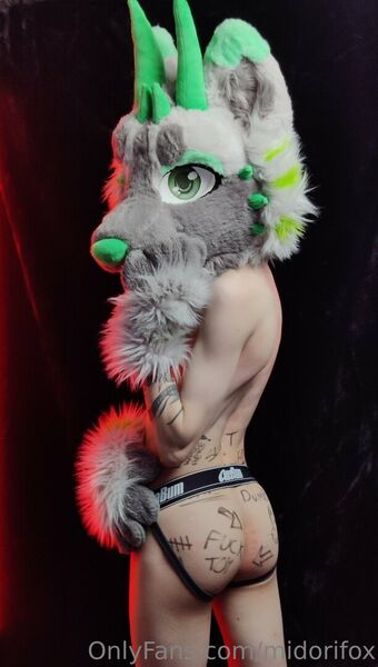 midorifox Nude Leaks OnlyFans Photo 6