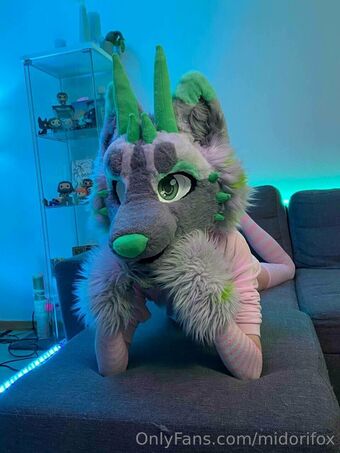 midorifox Nude Leaks OnlyFans Photo 12