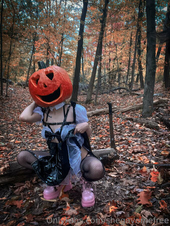 shegavemefree Nude Leaks OnlyFans Photo 6