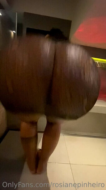 Rosiane Pinheiro Nude Leaks OnlyFans Photo 103