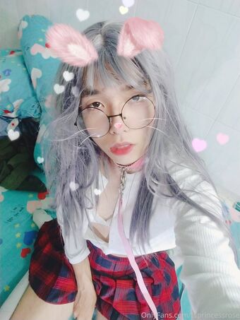 tsprincessrose Nude Leaks OnlyFans Photo 57