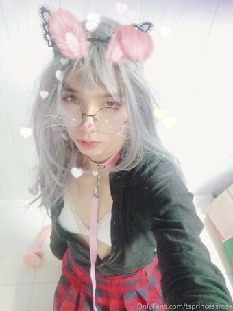 tsprincessrose Nude Leaks OnlyFans Photo 58