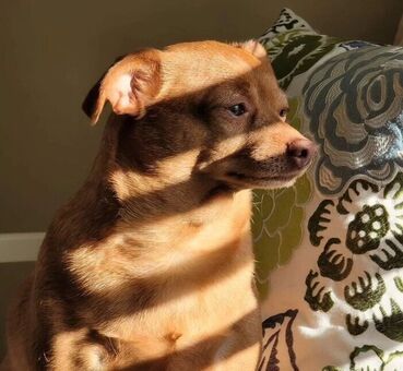 MaimyNyan Nude Leaks OnlyFans Photo 119