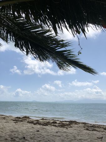 Niemira Nude Leaks OnlyFans Photo 71