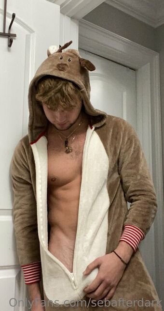 sebafterdark Nude Leaks OnlyFans Photo 10