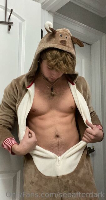 sebafterdark Nude Leaks OnlyFans Photo 12