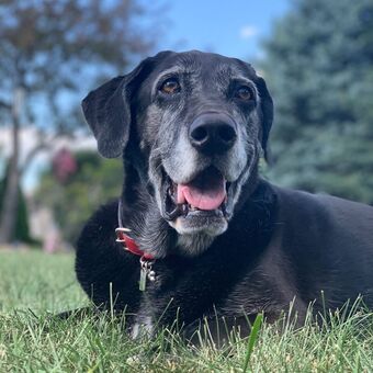 zaraczellmer Nude Leaks OnlyFans Photo 21