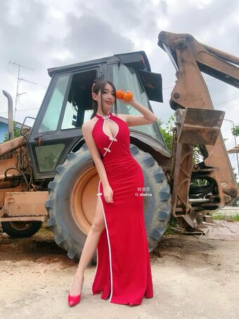 shufen Nude Leaks OnlyFans Photo 156