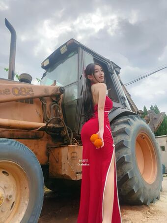 shufen Nude Leaks OnlyFans Photo 155