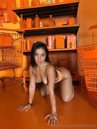 Cindy Tran / misscindytrann / misscindyy Nude Leaks OnlyFans – Leaked Models