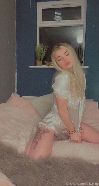 elizaking Nude Leaks OnlyFans Photo 9
