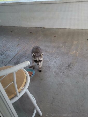 greentea98 Nude Leaks OnlyFans Photo 35