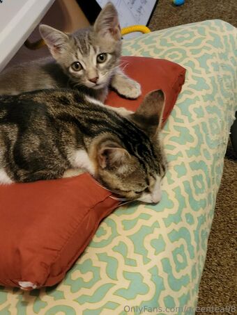 greentea98 Nude Leaks OnlyFans Photo 31