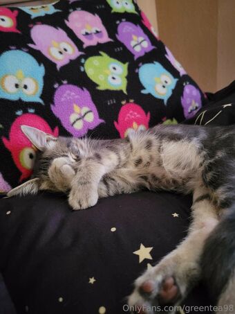 greentea98 Nude Leaks OnlyFans Photo 36