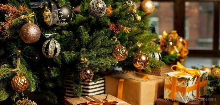 tvojenelinka Nude Leaks OnlyFans Photo 14