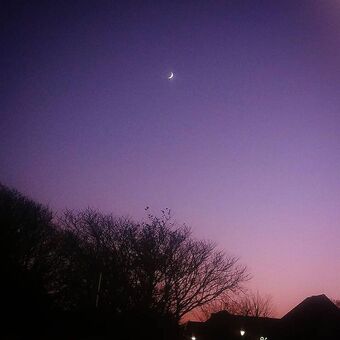 Prisonersnakey Nude Leaks OnlyFans Photo 18