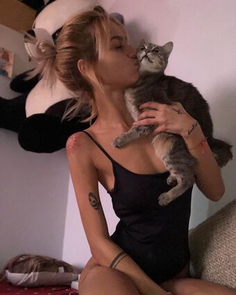 axalrnaed Nude Leaks OnlyFans Photo 11