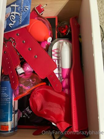 brazybhabe Nude Leaks OnlyFans Photo 25