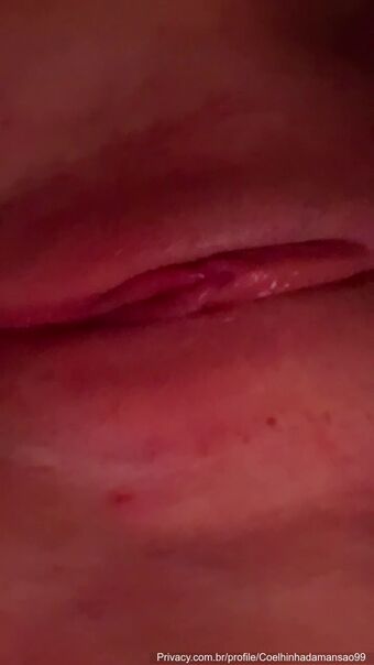 Coelhinha Do Hype Nude Leaks OnlyFans Photo 19