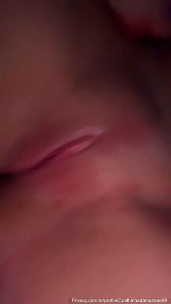 Coelhinha Do Hype Nude Leaks OnlyFans Photo 16