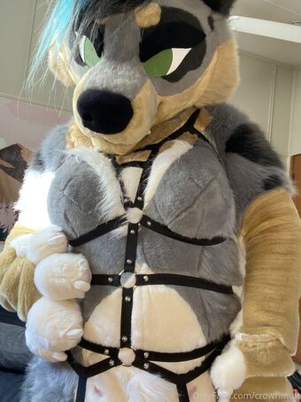 crownmutt Nude Leaks OnlyFans – Leaked Models