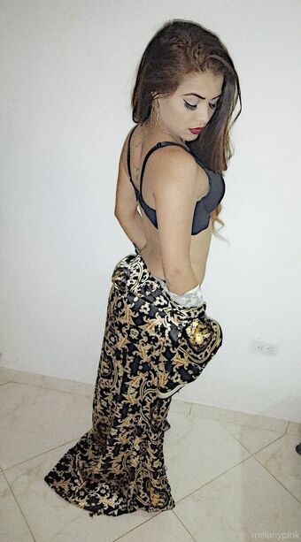 melanypink Nude Leaks OnlyFans Photo 19