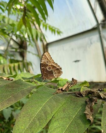 Clarice Boaventura Nude Leaks OnlyFans Photo 42