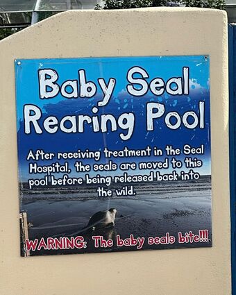 Clarice Boaventura Nude Leaks OnlyFans Photo 45