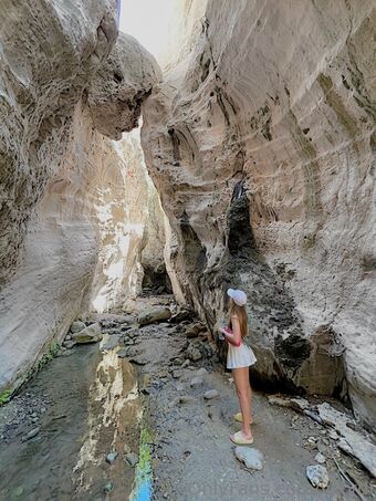 vixydi Nude Leaks OnlyFans Photo 29