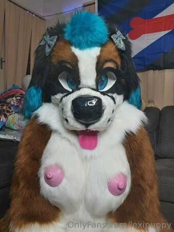 lexipuppy Nude Leaks OnlyFans Photo 13