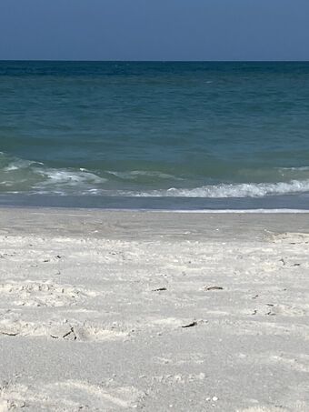 missourigirl4 Nude Leaks OnlyFans Photo 13