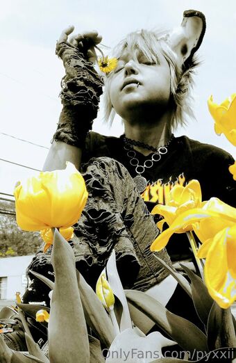 pyxxii Nude Leaks OnlyFans Photo 10