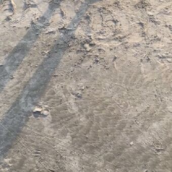 Bella Casada Nude Leaks OnlyFans Photo 10